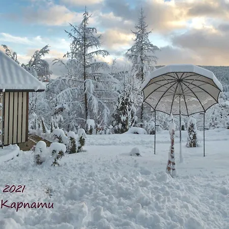 Favar Carpathians Apartment Skhidnytsia