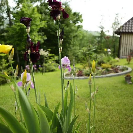 Favar Carpathians Apartment