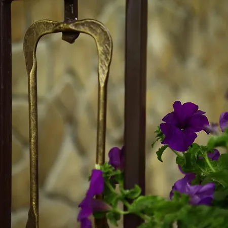 Apartment Favar Carpathians *