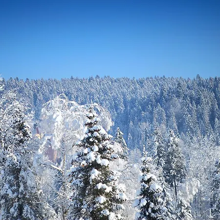 Favar Carpathians Apartmán
