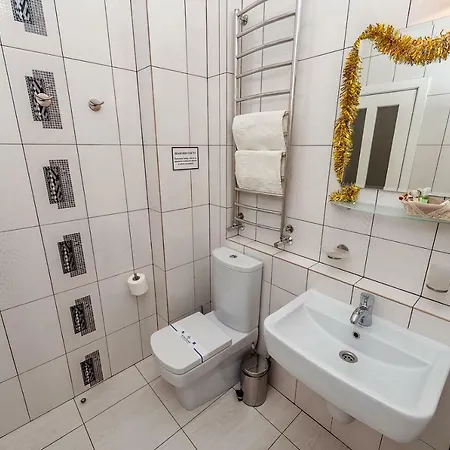 Apartment Favar Carpathians Skhidnytsia